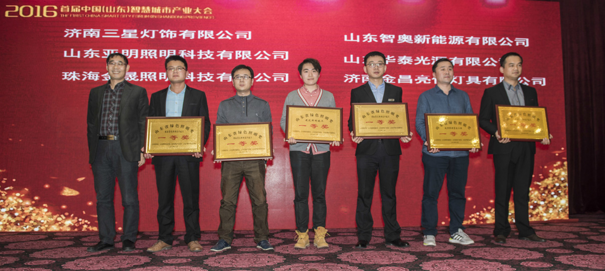 我公司創意的燈光雕塑作品榮獲首屆山東省綠色照明獎(圖2)